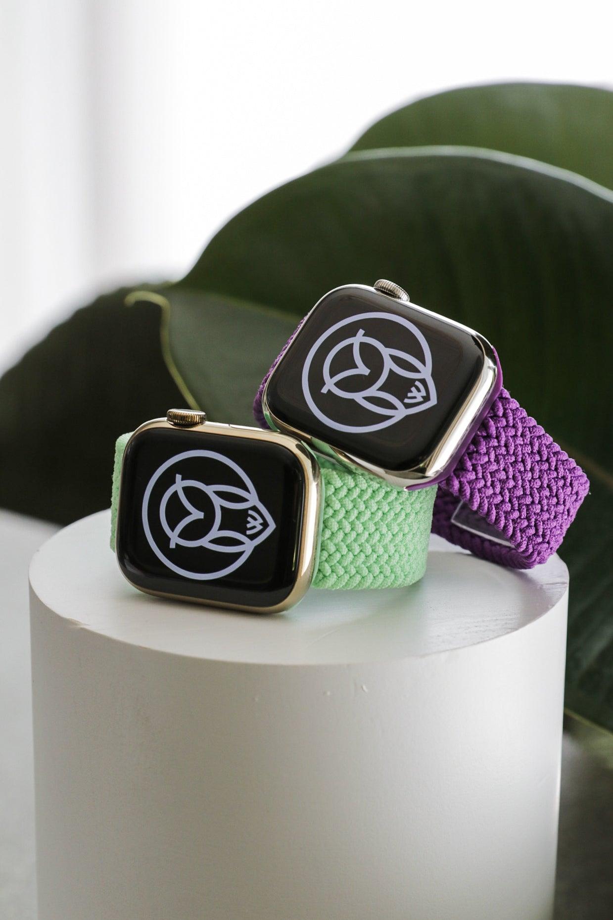 Watch Strap Loop Replacement Selection WizeBand
