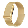 Clyte Stainless Band (compatible for Whoop)