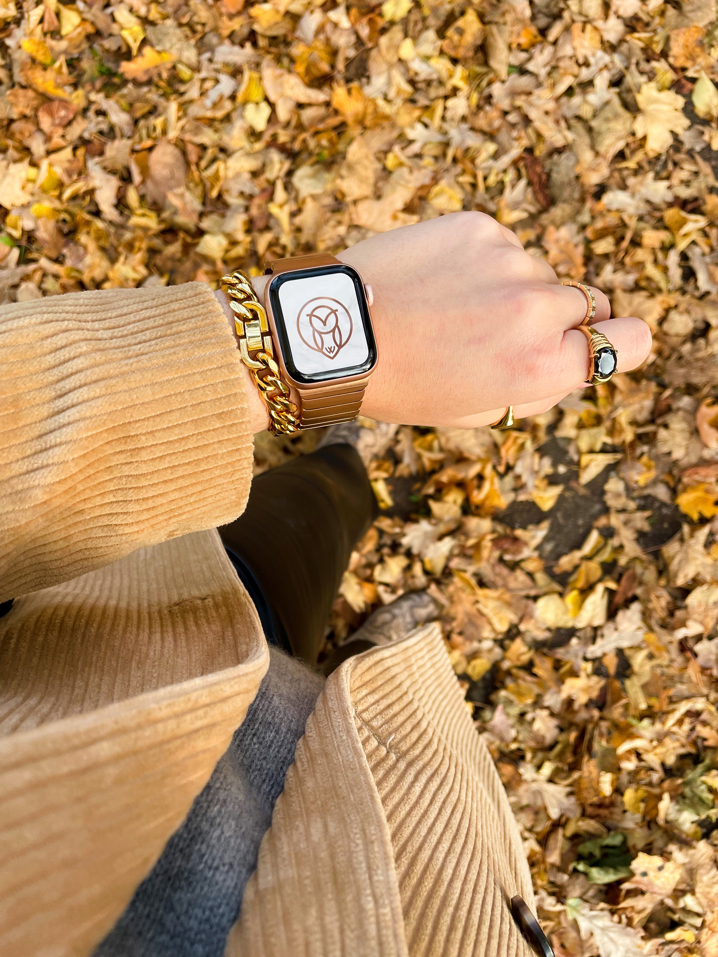 Apple Watch Series 9 Bands WizeBand