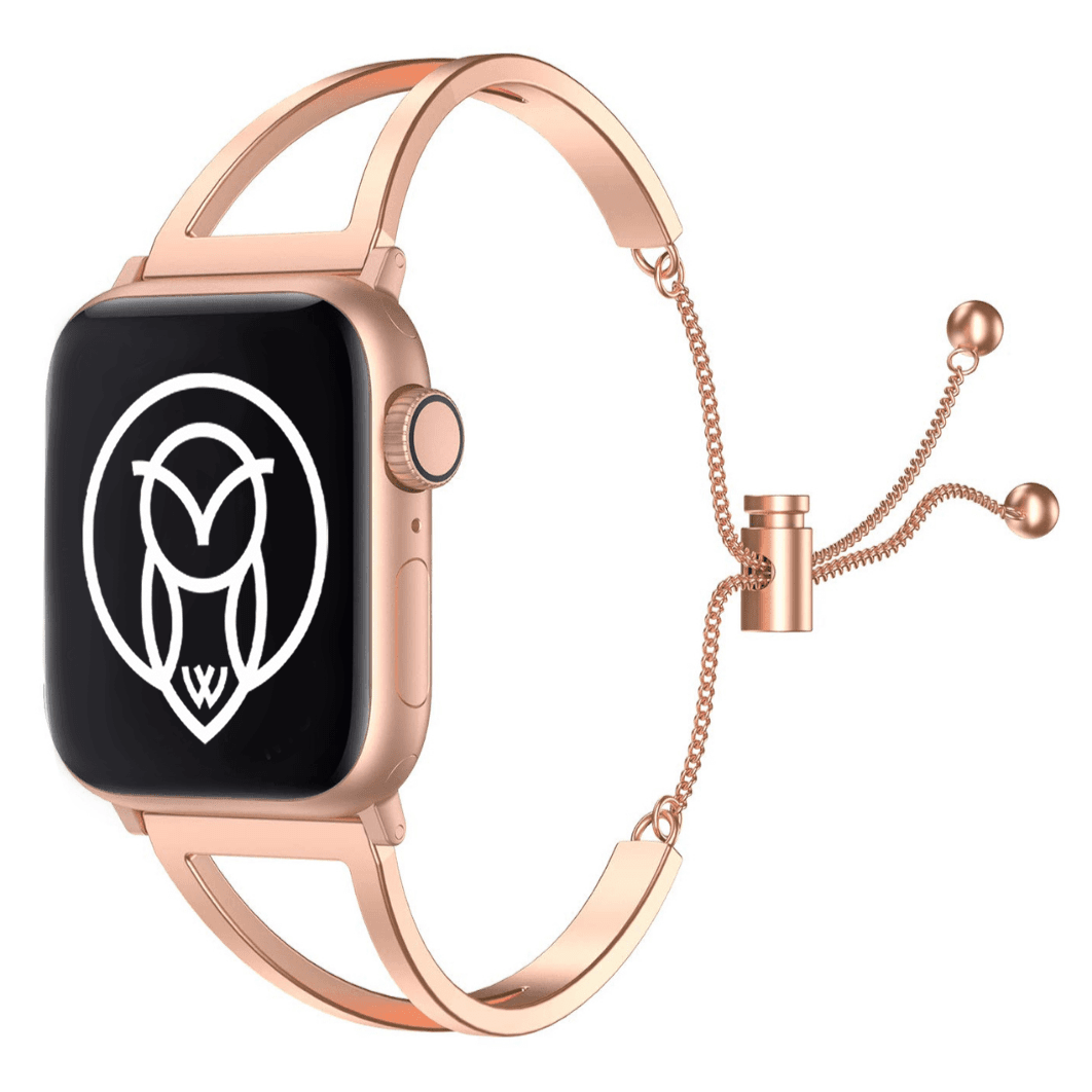 iWatch Metal Bands WizeBand Starter Kit Bundle for Apple Watch WizeBand