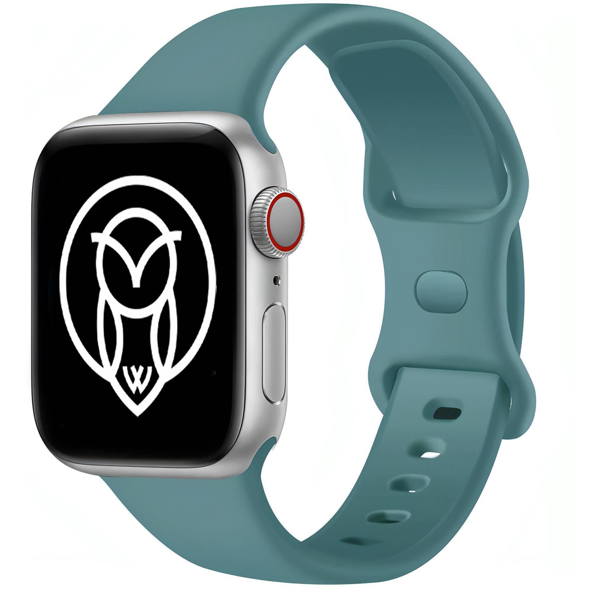 Apple watch best sale cactus band 40mm