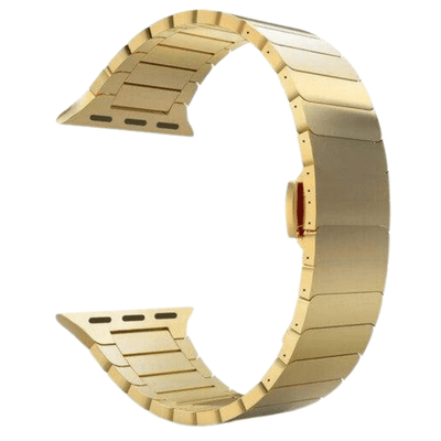 Neos Stainless Band (4 Colours) gold / 38mm WizeBand