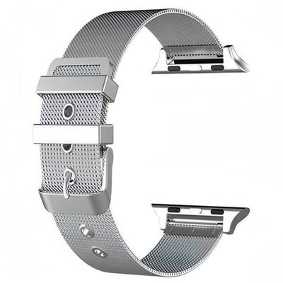 Spyridon Stainless Band (4 Colours) Silver / 40mm WizeBand